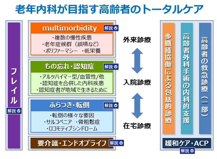 老年内科が目指す高齢者のトータルケア
