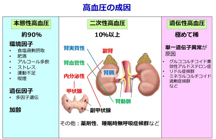 高血圧の治療