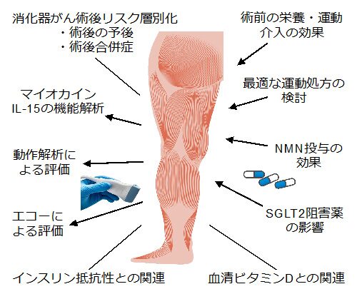 研究成果イメージ